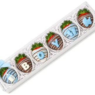 Newborn Boy Chocolate Strawberries - Small